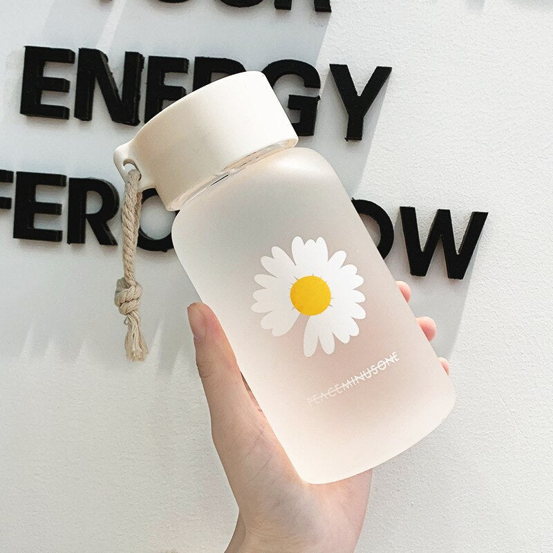 Transparent Water Bottle