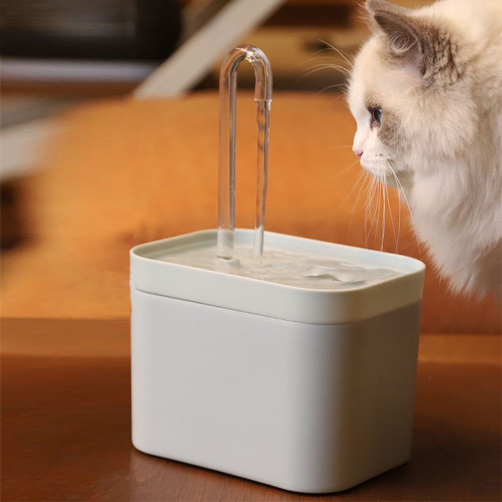 Fontana d'acqua per gatti con filtro automatico elettrica USB